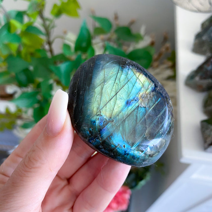 Tiger Blood Labradorite Palm 