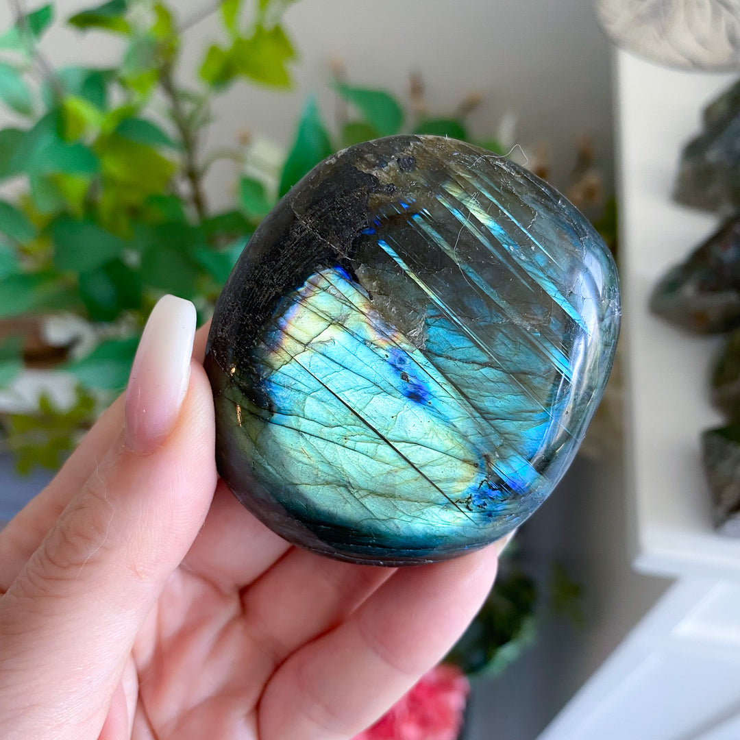 Tiger Blood Labradorite Palm 