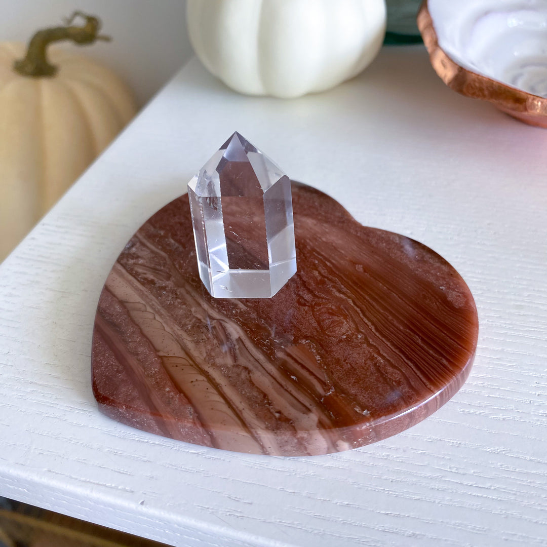 Petrified Wood Heart Coaster - Choose Your Piece