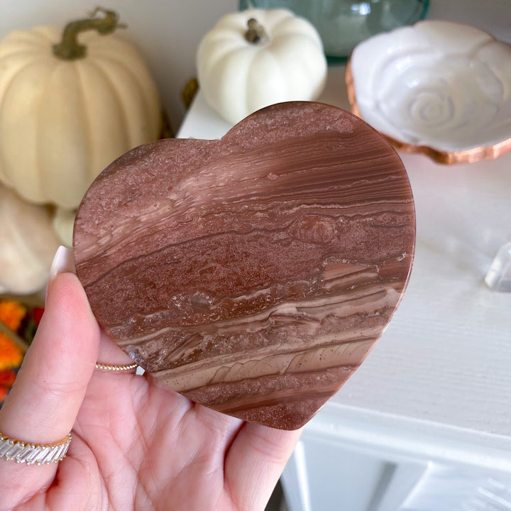 Petrified Wood Heart Coaster - Choose Your Piece