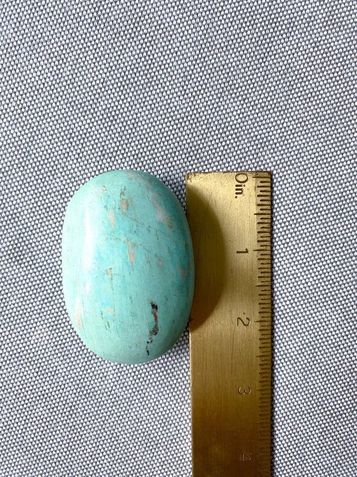 Peruvian Turquoise Palm Stone #8