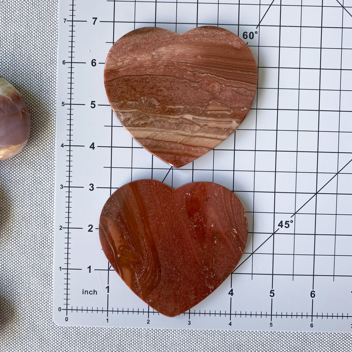 Petrified Wood Heart Coaster - Choose Your Piece
