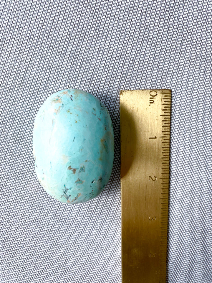 Turquoise Palm Stone #2 - Get Exact Stone