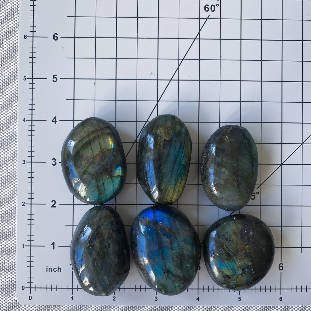 Flashy Labradorite Pebble Palm