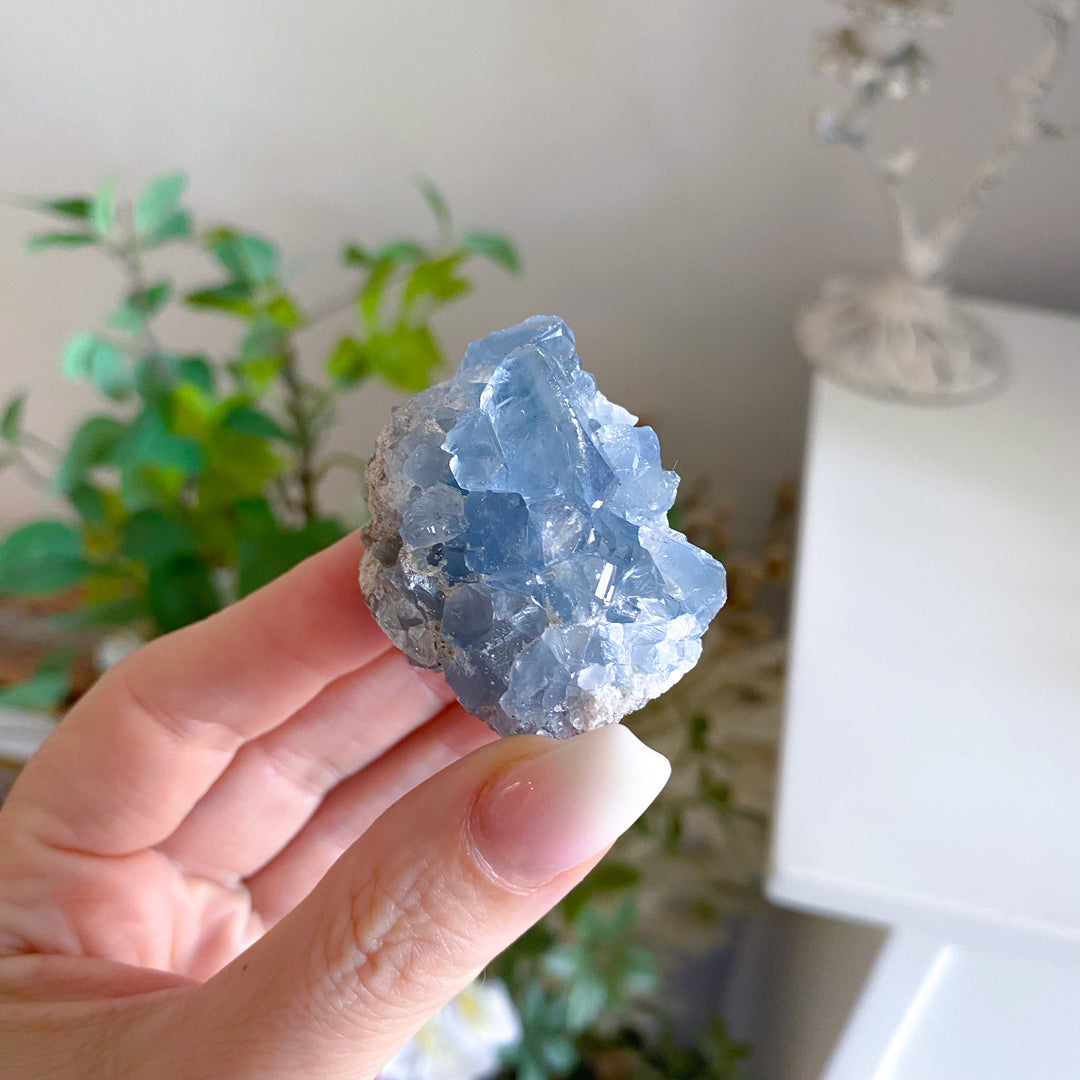 Small Celestite Cluster 