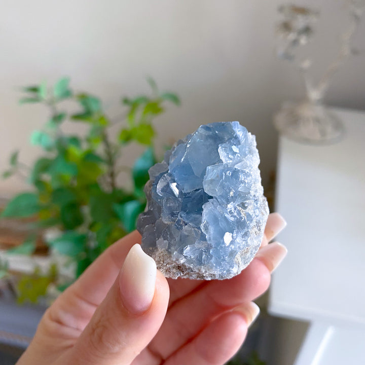 Small Celestite Cluster 