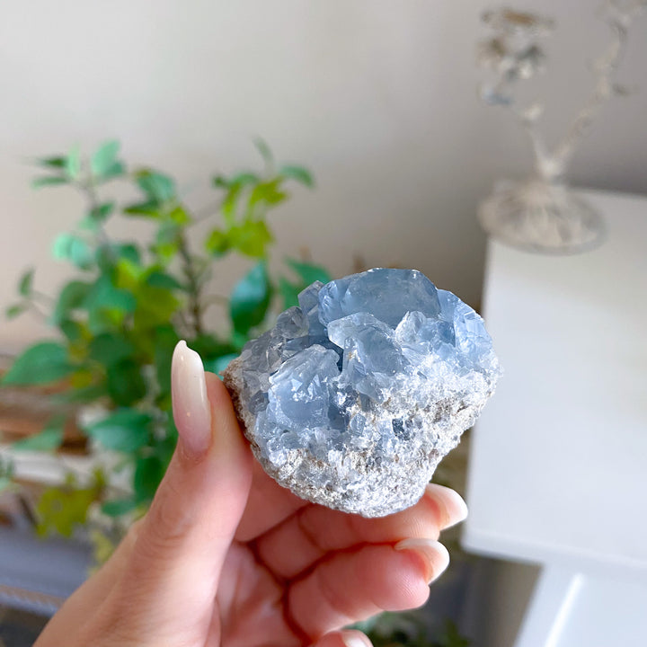 Small Celestite Cluster 