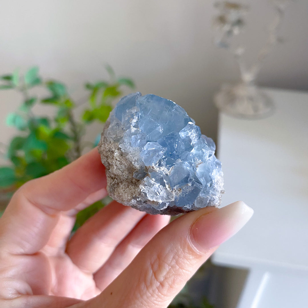 Small Celestite Cluster 