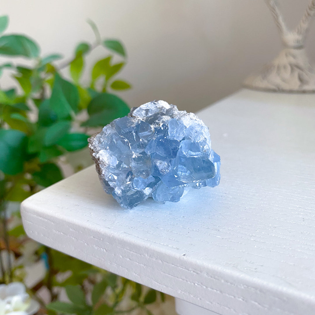 Small Celestite Cluster 