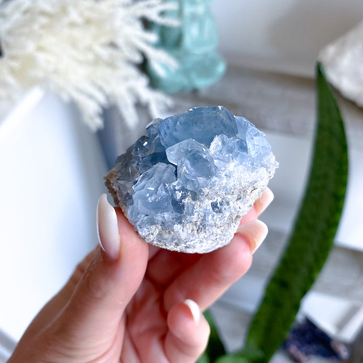 Small Celestite Cluster 