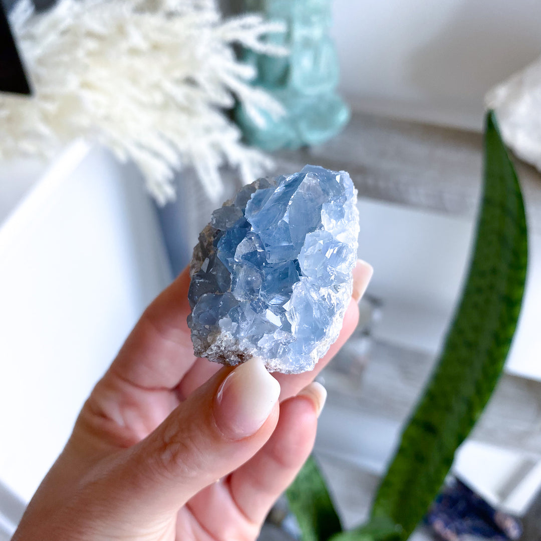 Small Celestite Cluster 