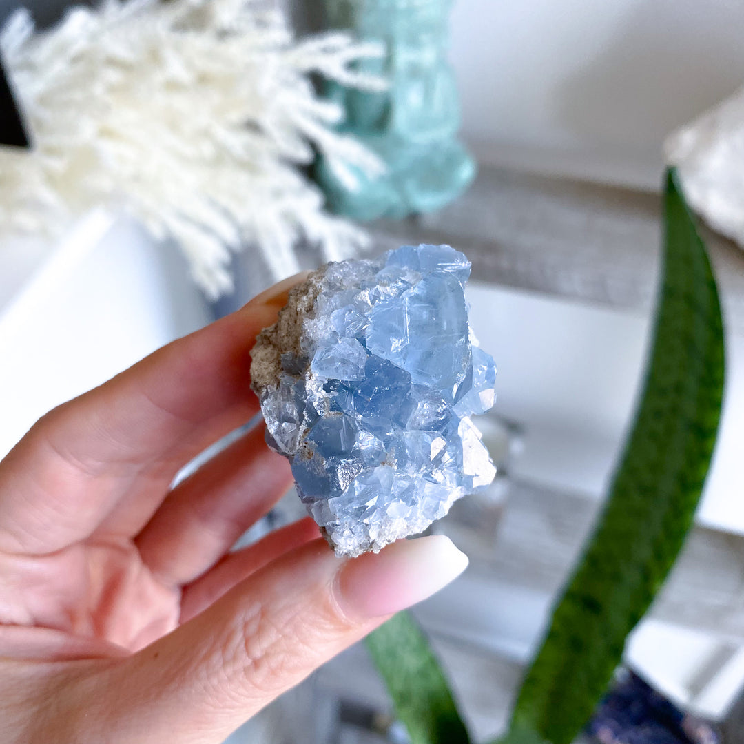 Small Celestite Cluster 