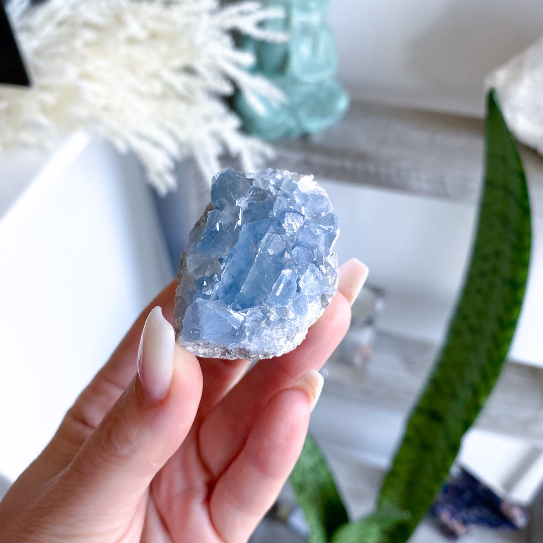 Small Celestite Cluster 