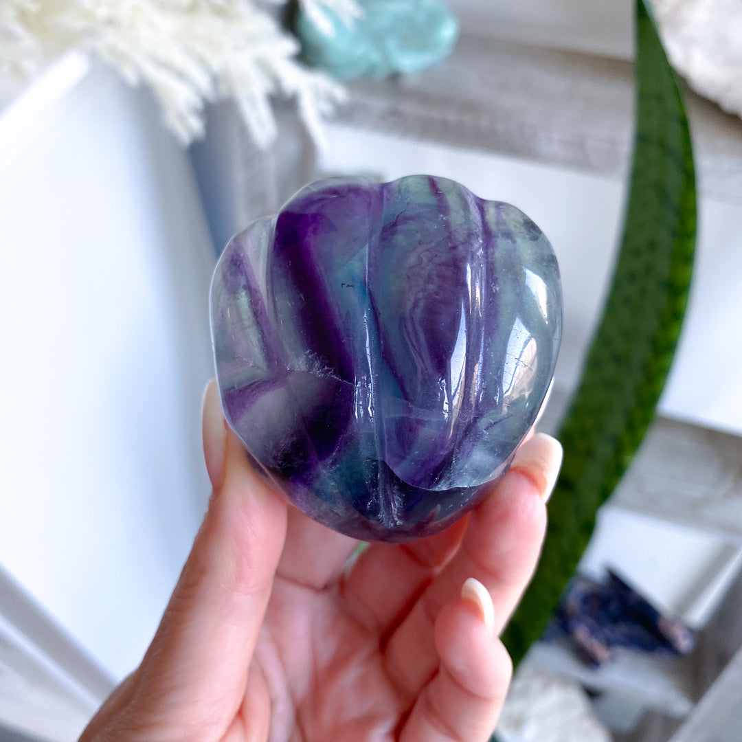 Rainbow Fluorite Clam Shell 