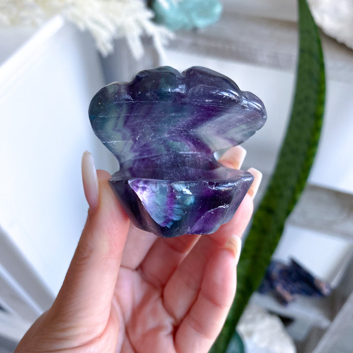 Rainbow Fluorite Clam Shell 