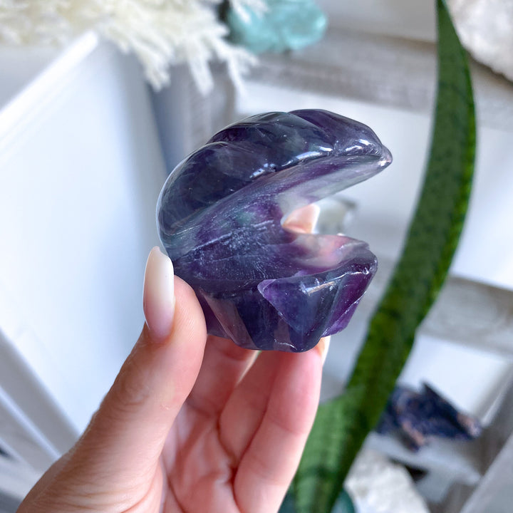 Rainbow Fluorite Clam Shell 