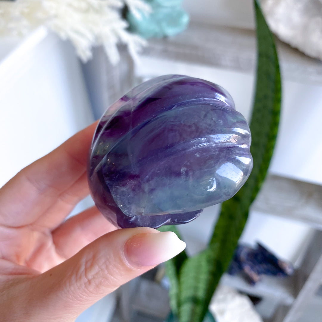 Rainbow Fluorite Clam Shell 