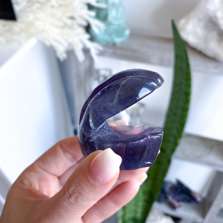 Rainbow Fluorite Clam Shell 