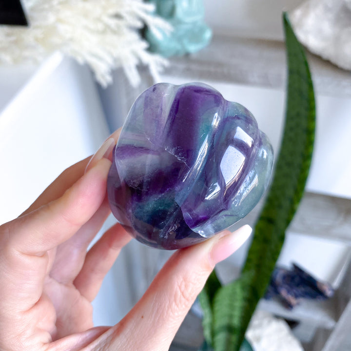 Rainbow Fluorite Clam Shell 