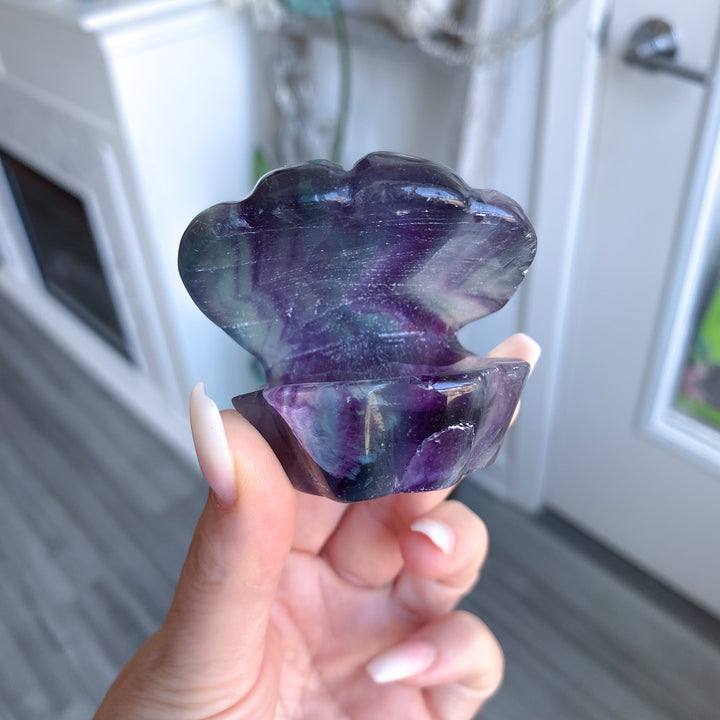 Rainbow Fluorite Clam Shell 