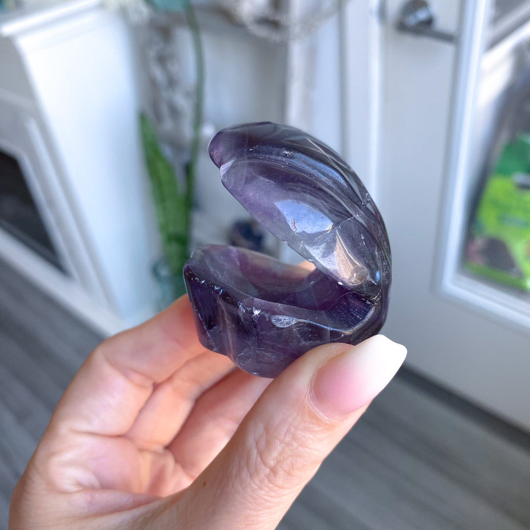 Rainbow Fluorite Clam Shell 