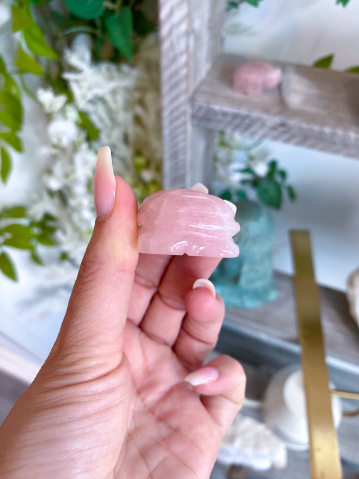 Rose Quartz Turtle Carving