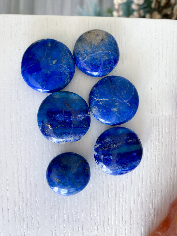 LOT: Six B Quality Lapis Coins
