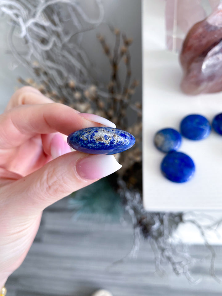LOT: Six B Quality Lapis Coins