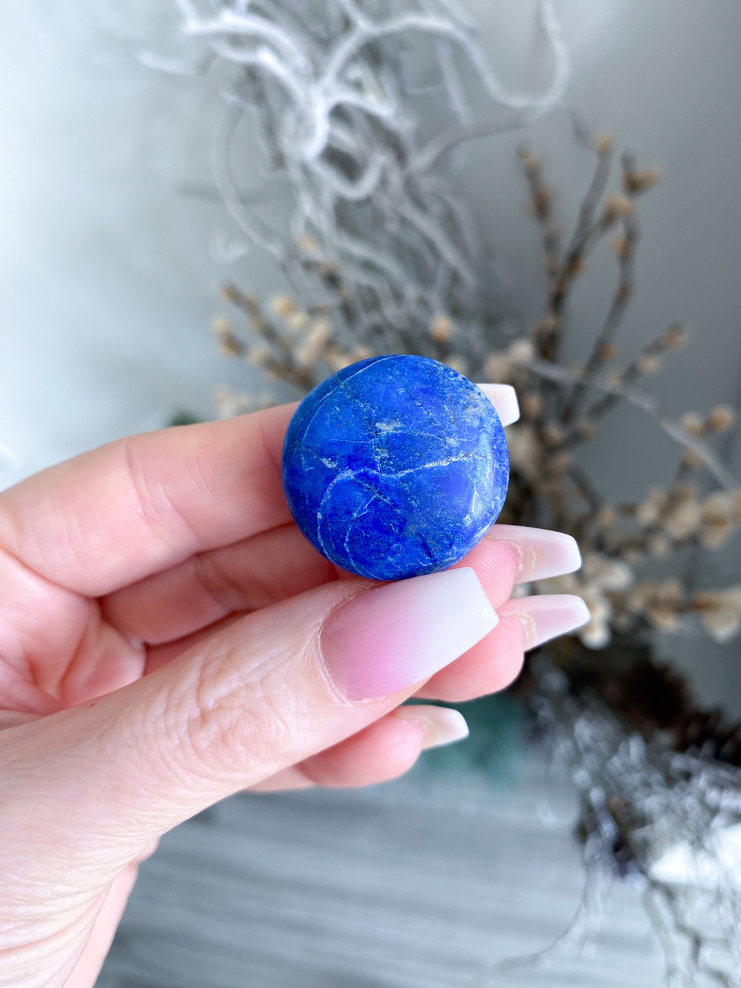 LOT: Six B Quality Lapis Coins