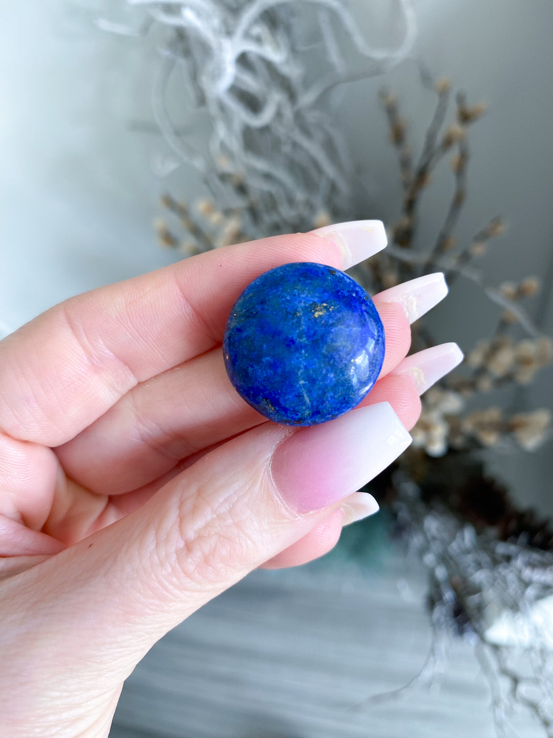 LOT: Six B Quality Lapis Coins
