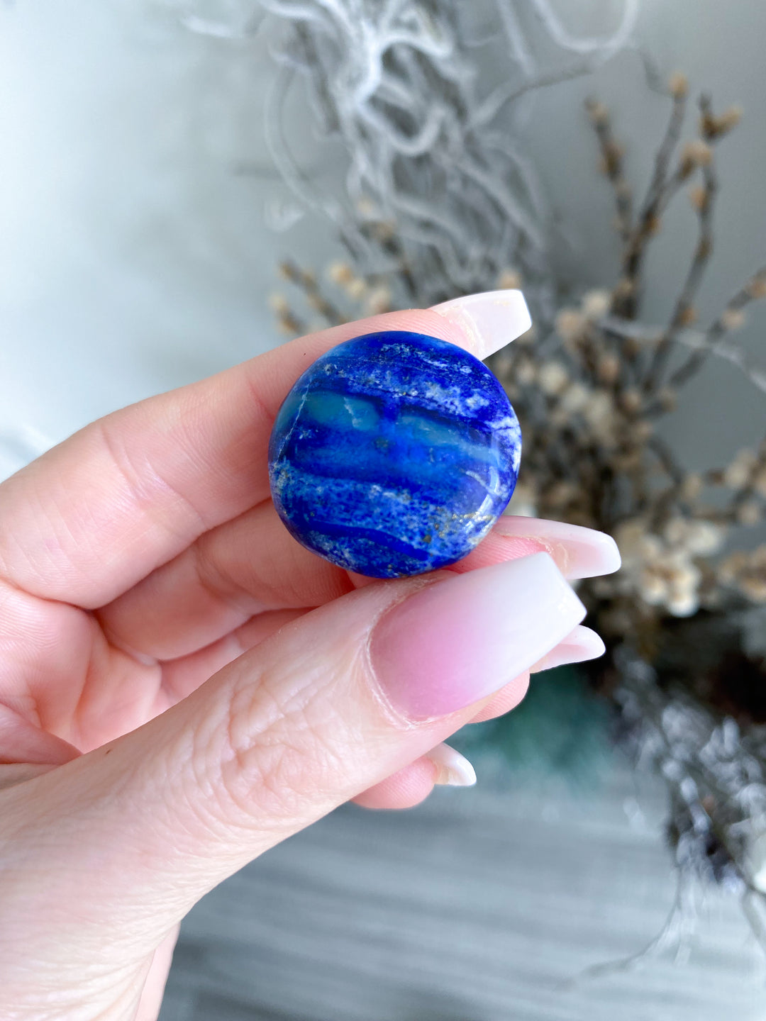 LOT: Six B Quality Lapis Coins