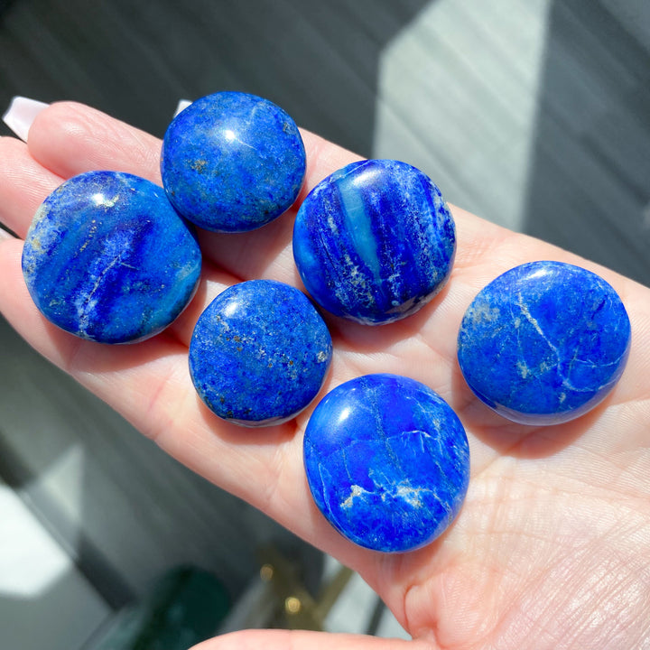 LOT: Six B Quality Lapis Coins