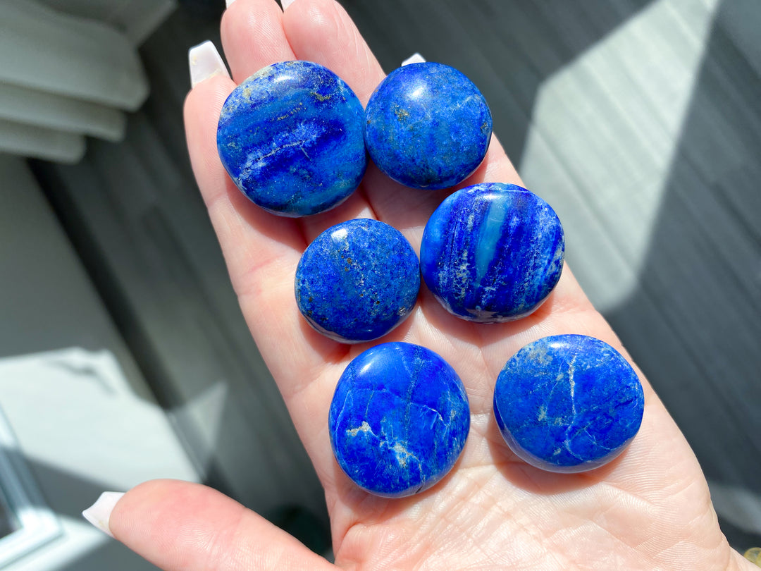 LOT: Six B Quality Lapis Coins