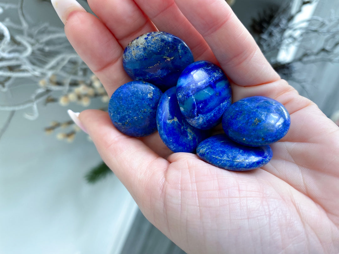 LOT: Six B Quality Lapis Coins