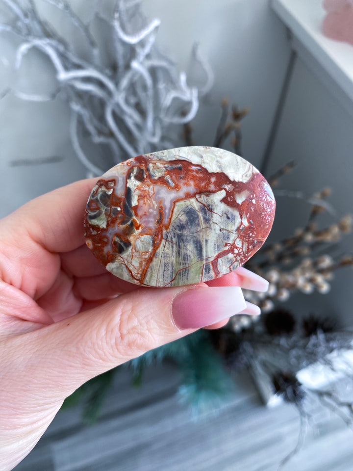 Money Agate Indonesian Bloodstone Palm Stone #1