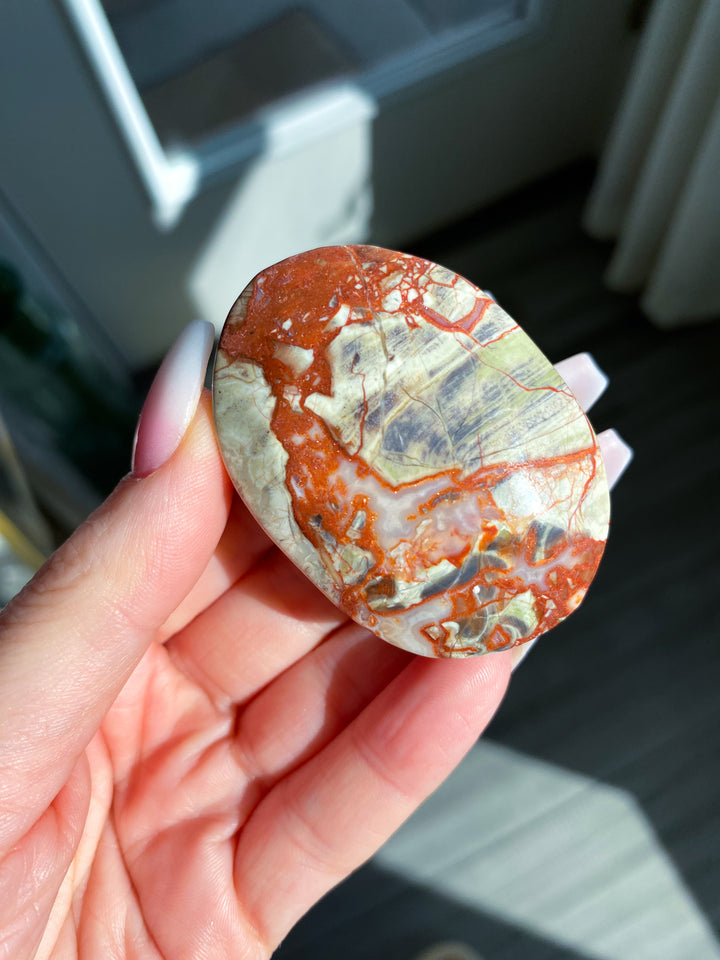 Money Agate Indonesian Bloodstone Palm Stone #1