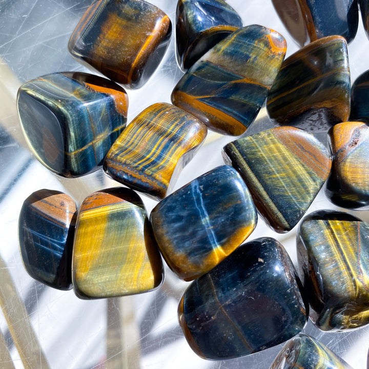 Blue Tiger&