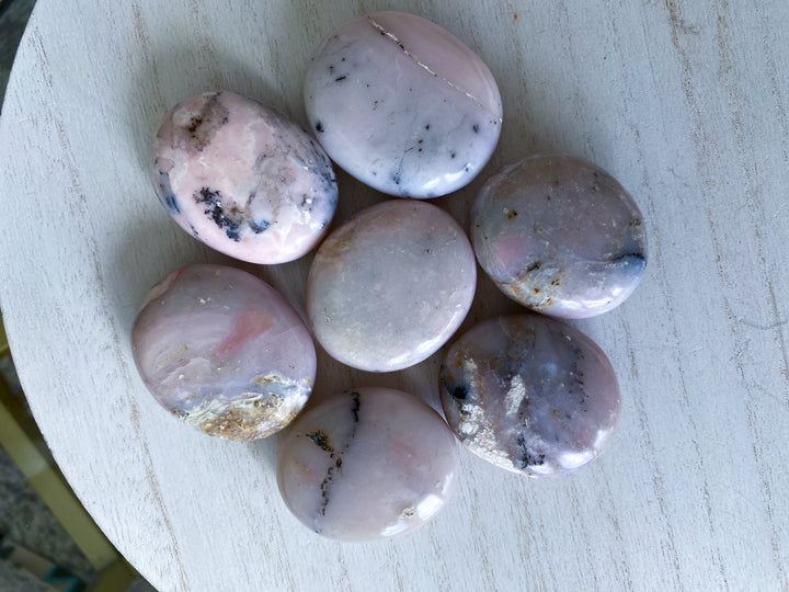 Small Pink Opal Palm