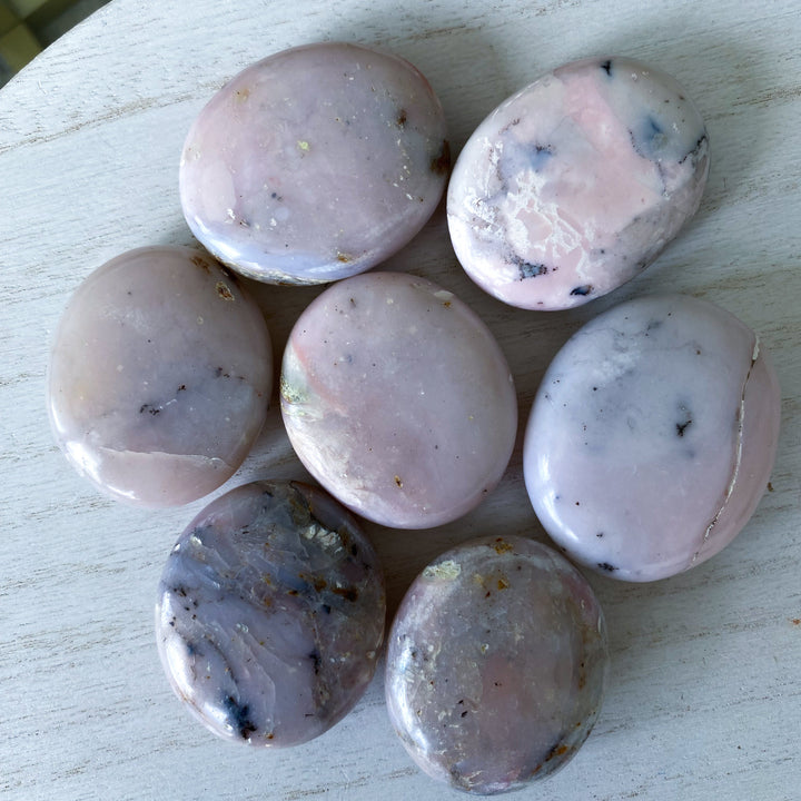 Small Pink Opal Palm