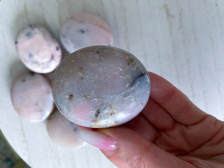 Small Pink Opal Palm