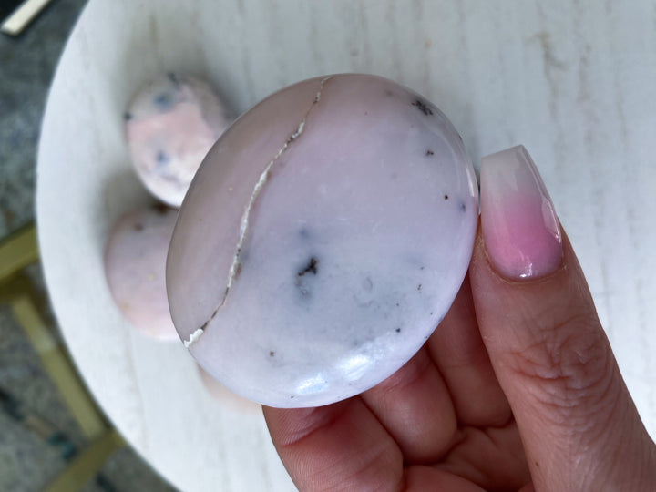 Small Pink Opal Palm