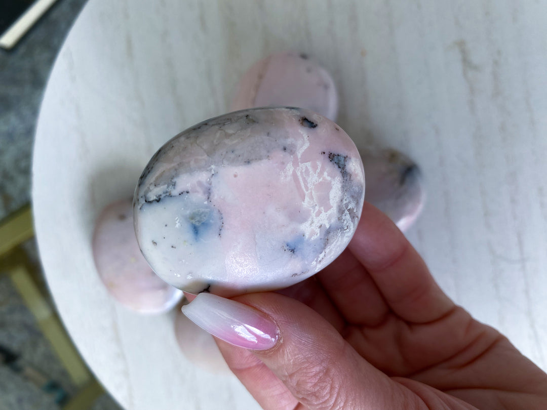 Small Pink Opal Palm