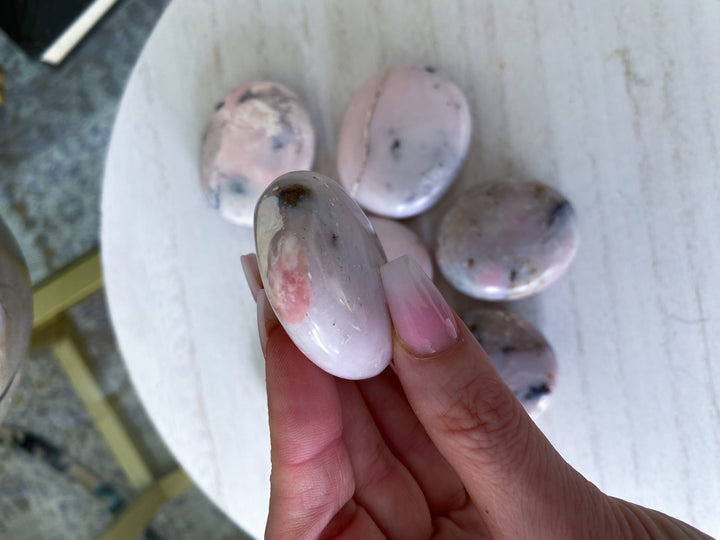 Small Pink Opal Palm