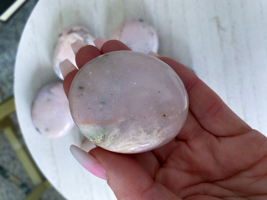 Small Pink Opal Palm