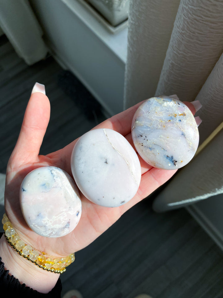 Small Pink Opal Palm