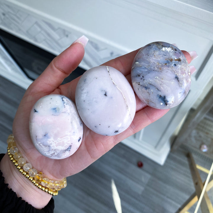 Small Pink Opal Palm