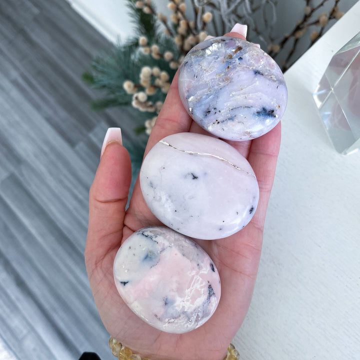 Small Pink Opal Palm