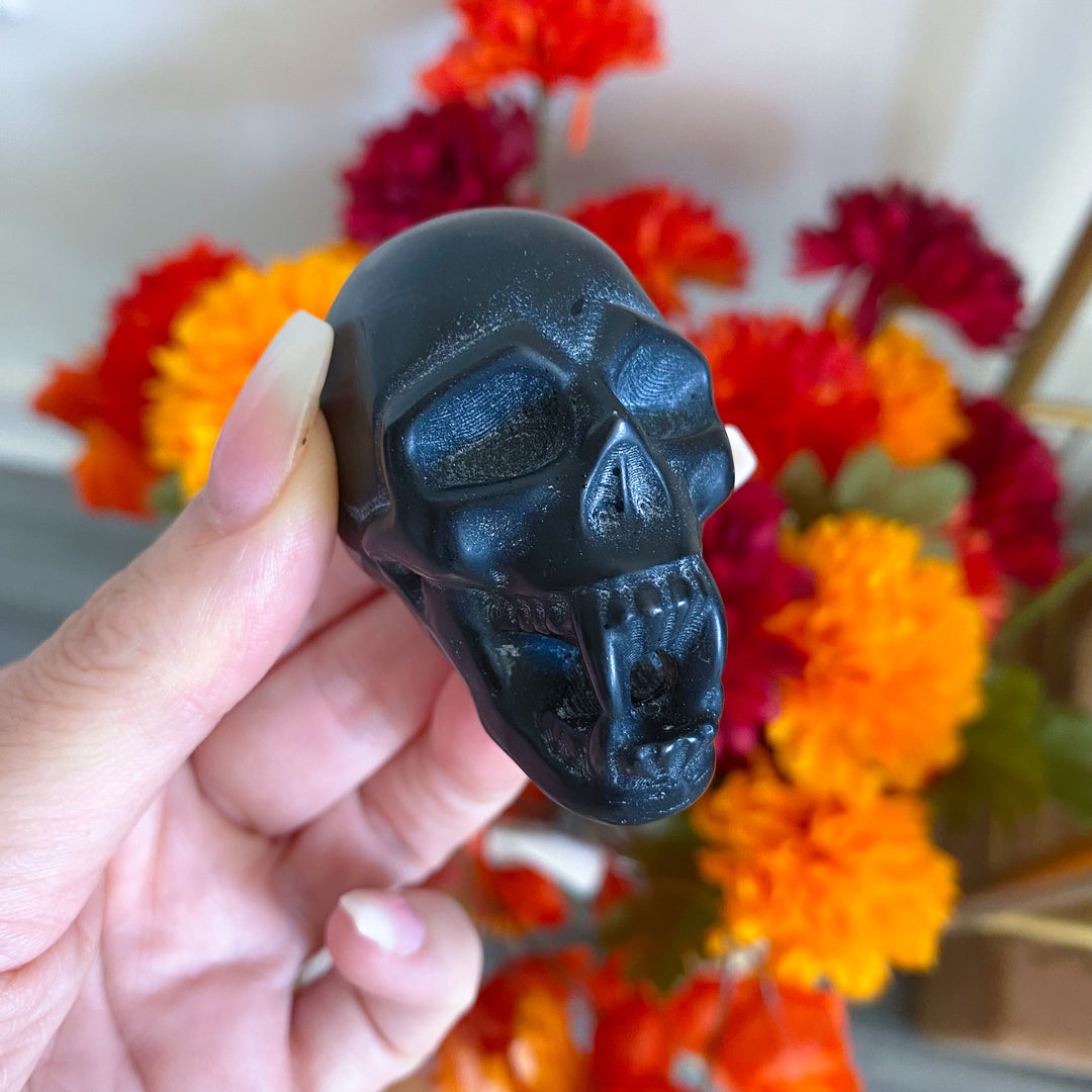 Black Obsidian Vampire Skull 