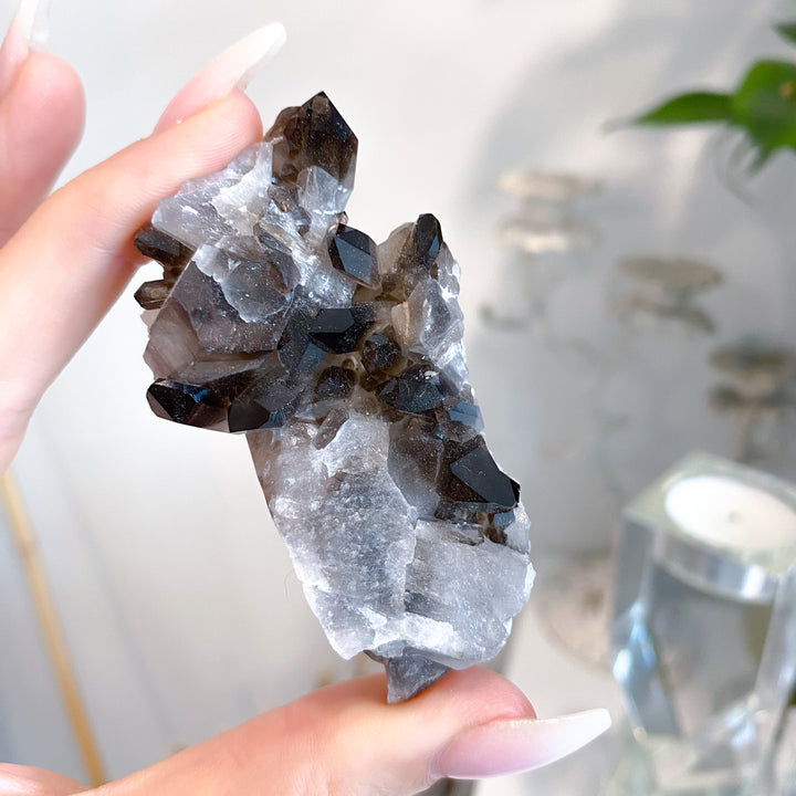 Dark Smokey Quartz Cluster #1