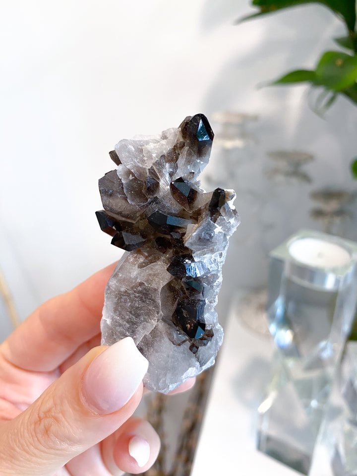 Dark Smokey Quartz Cluster #1